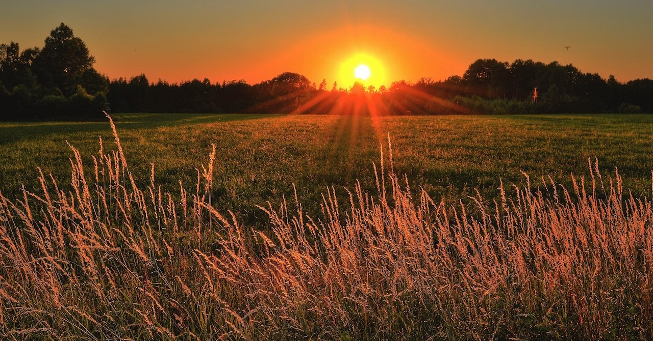 Early Morning Jobs Early Risers Should Consider